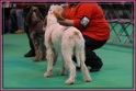 09-03-12 M GoodAsGold_IMG_0924
